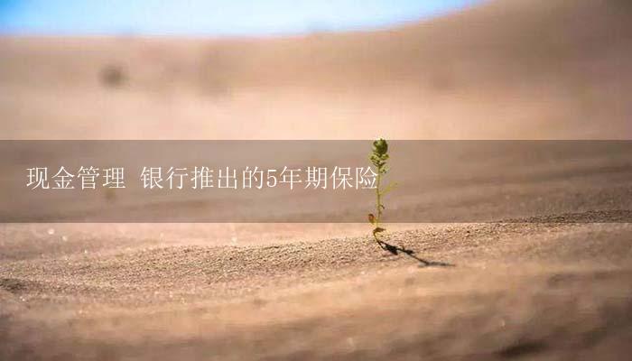 现金管理 银行推出的5年期保险-17攻略