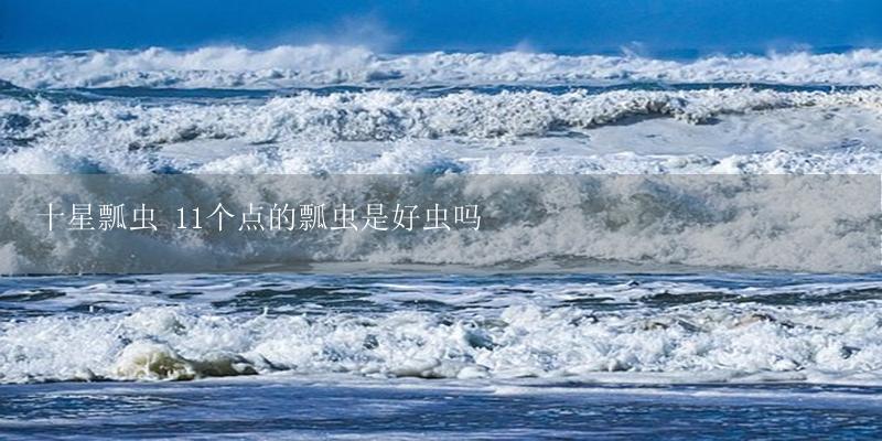十星瓢虫 11个点的瓢虫是好虫吗-17攻略