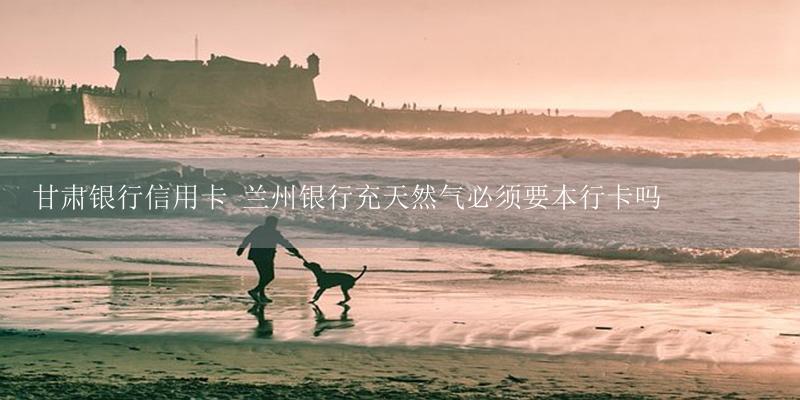 甘肃银行信用卡 兰州银行充天然气必须要本行卡吗-17攻略
