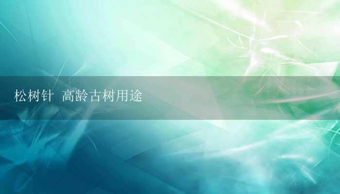 松树针 高龄古树用途-17攻略