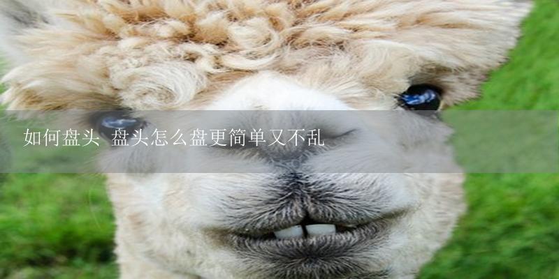 如何盘头 盘头怎么盘更简单又不乱-17攻略
