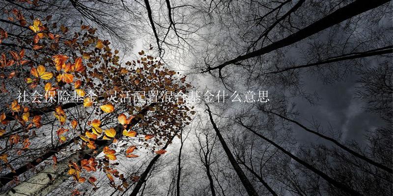 社会保险基金 灵活配置混合基金什么意思-17攻略