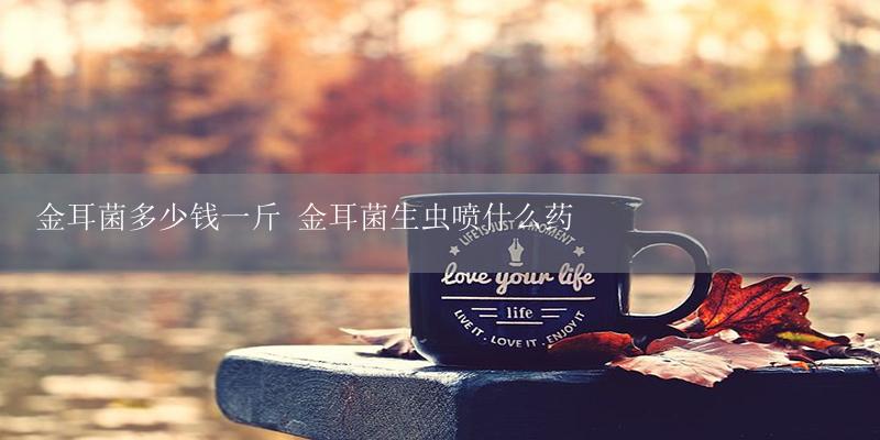 金耳菌多少钱一斤 金耳菌生虫喷什么药-17攻略
