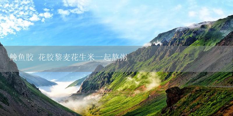 鮸鱼胶 花胶黎麦花生米一起熬粥-17攻略