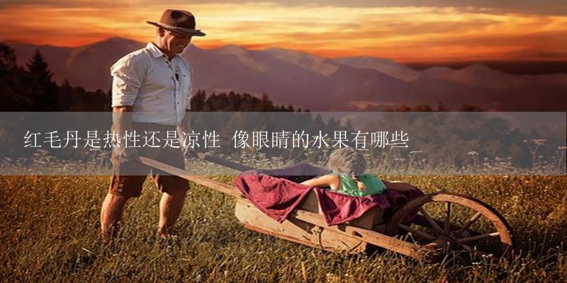 红毛丹是热性还是凉性 像眼睛的水果有哪些-17攻略