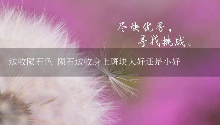 边牧陨石色 陨石边牧身上斑块大好还是小好-17攻略