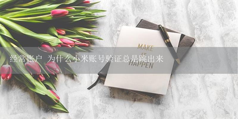 经常账户 为什么小米账号验证总是跳出来-17攻略