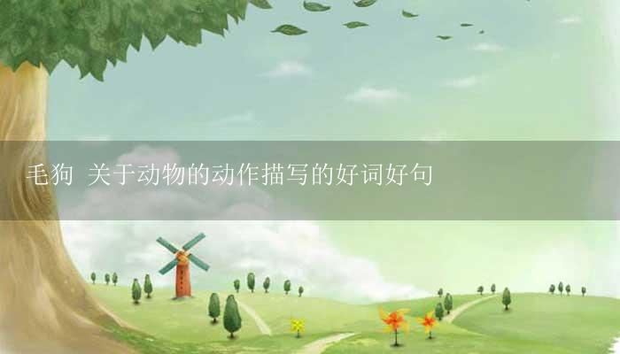 毛狗 关于动物的动作描写的好词好句-17攻略