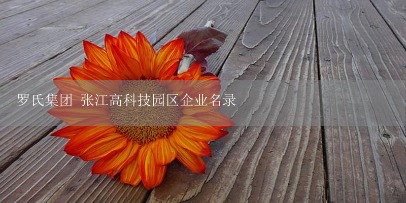 罗氏集团 张江高科技园区企业名录-17攻略