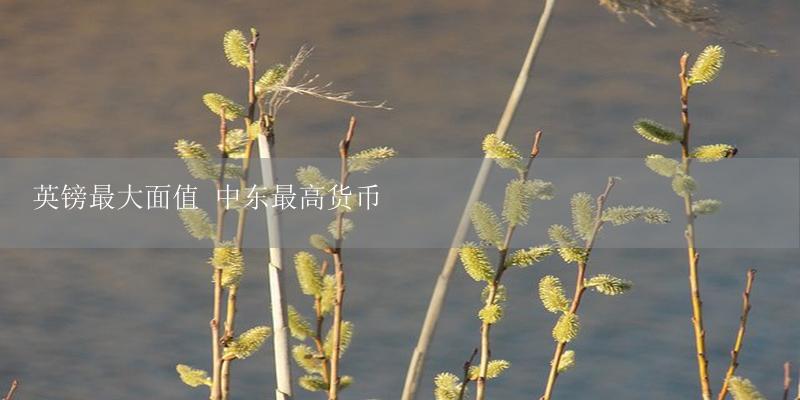 英镑最大面值 中东最高货币-17攻略
