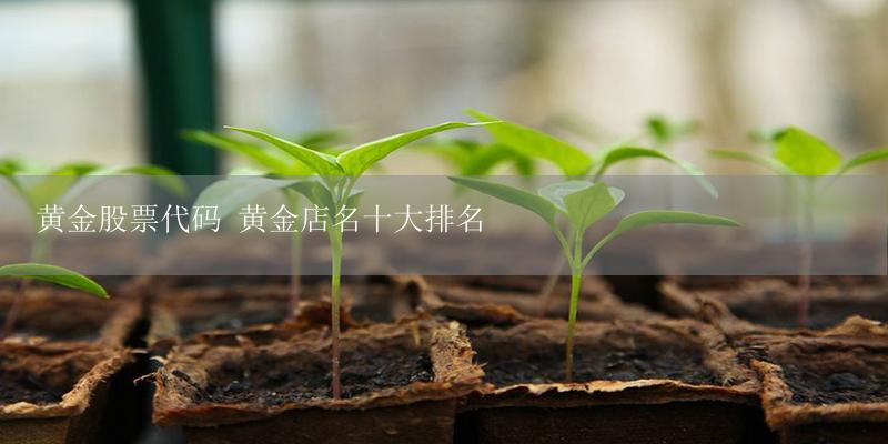 黄金股票代码 黄金店名十大排名-17攻略