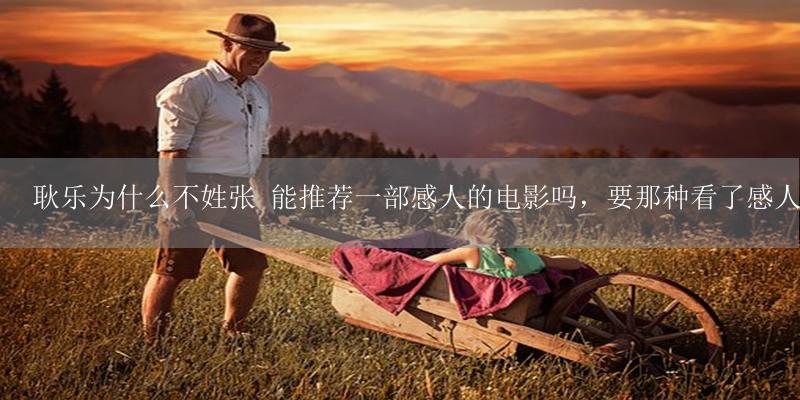 耿乐为什么不姓张 能推荐一部感人的电影吗,要那种看了感人到放声大哭的电影,越感人越好-17攻略