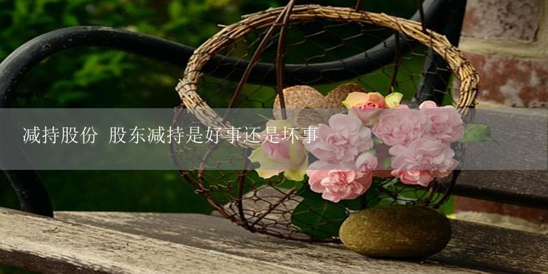 减持股份 股东减持是好事还是坏事-17攻略