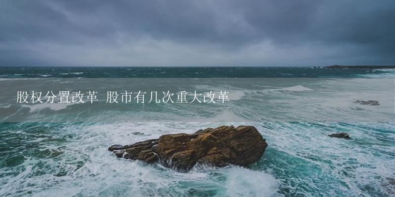 股权分置改革 股市有几次重大改革-17攻略