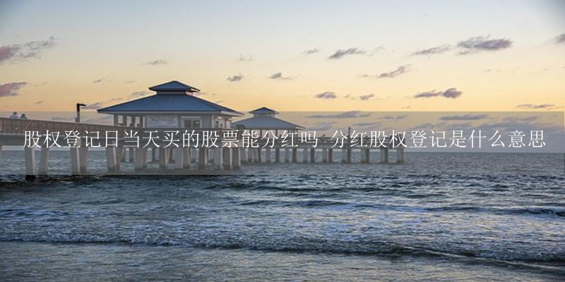 股权登记日当天买的股票能分红吗 分红股权登记是什么意思-17攻略