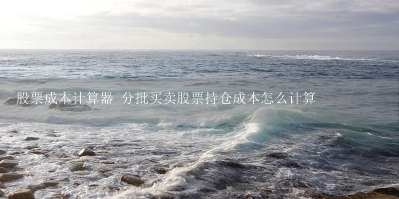 股票成本计算器 分批买卖股票持仓成本怎么计算-17攻略