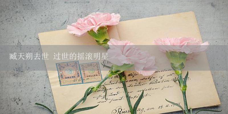 臧天朔去世 过世的摇滚明星-17攻略