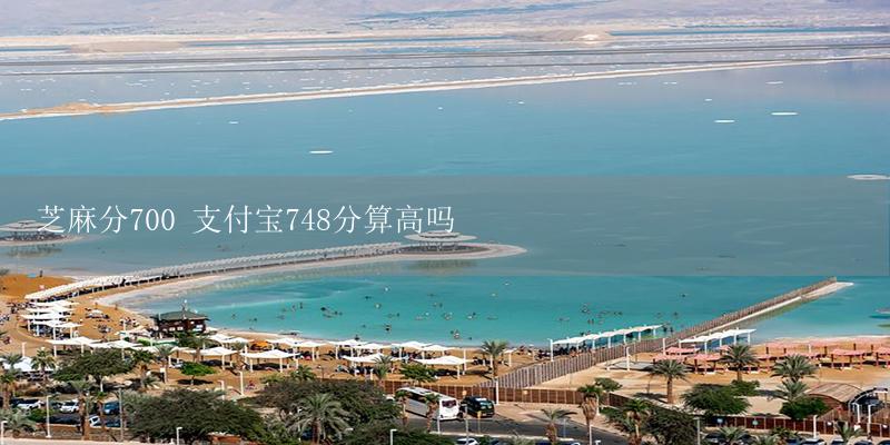芝麻分700 支付宝748分算高吗-17攻略