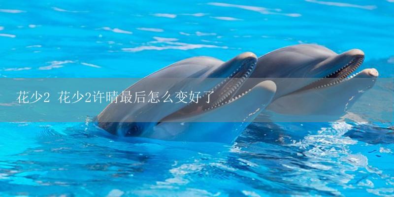 花少2 花少2许晴最后怎么变好了-17攻略