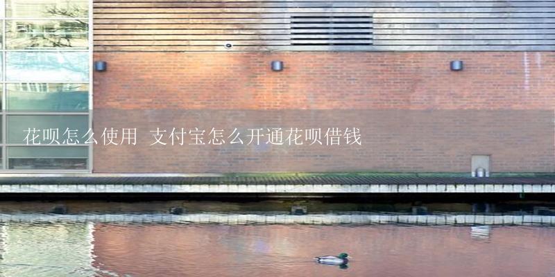 花呗怎么使用 支付宝怎么开通花呗借钱-17攻略