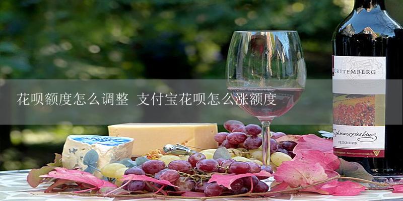花呗额度怎么调整 支付宝花呗怎么涨额度-17攻略