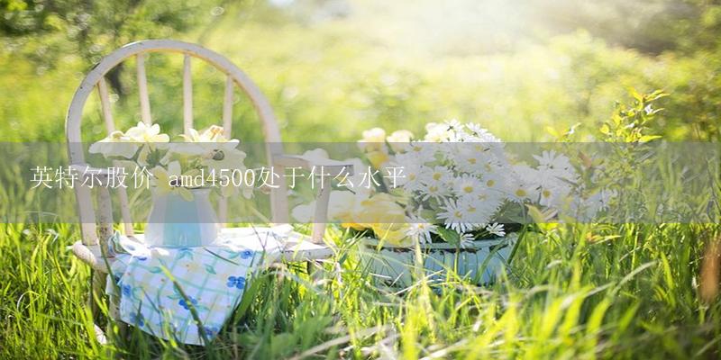 英特尔股价 amd4500处于什么水平-17攻略
