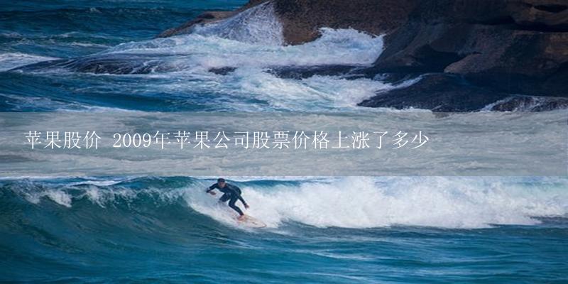 苹果股价 2009年苹果公司股票价格上涨了多少-17攻略