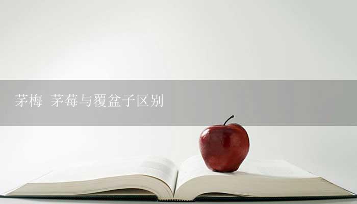 茅梅 茅莓与覆盆子区别-17攻略