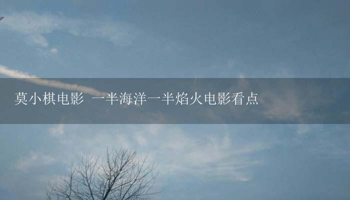 莫小棋电影 一半海洋一半焰火电影看点-17攻略