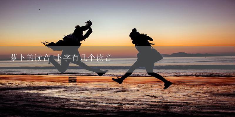 萝卜的读音 卜字有几个读音-17攻略