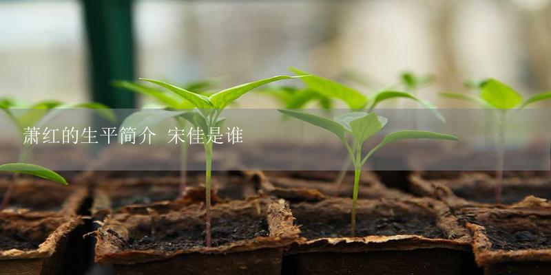 萧红的生平简介 宋佳是谁-17攻略
