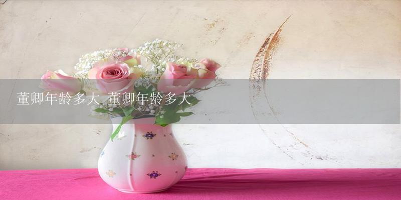 董卿年龄多大 董卿年龄多大-17攻略