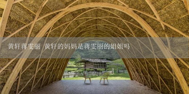 黄轩蒋雯丽 黄轩的妈妈是蒋雯丽的姐姐吗-17攻略