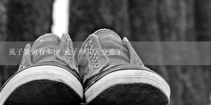 虱子繁殖有多快 虱子卵几天变虱子-17攻略