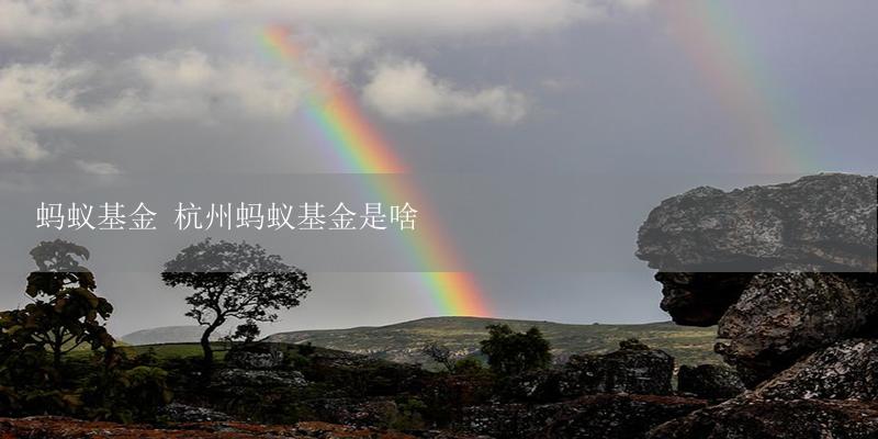 蚂蚁基金 杭州蚂蚁基金是啥-17攻略