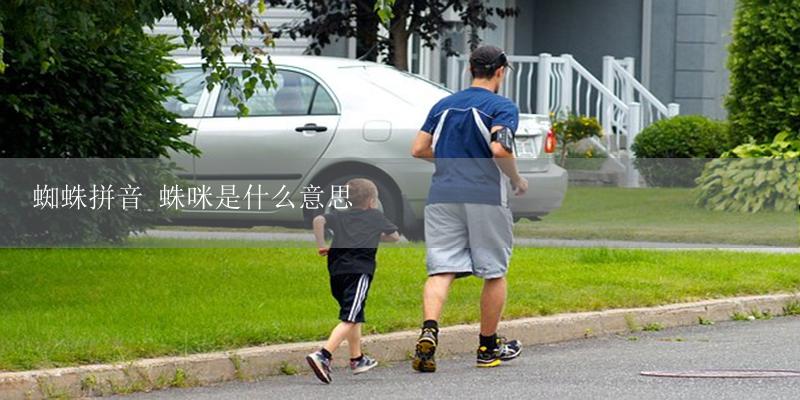 蜘蛛拼音 蛛咪是什么意思-17攻略