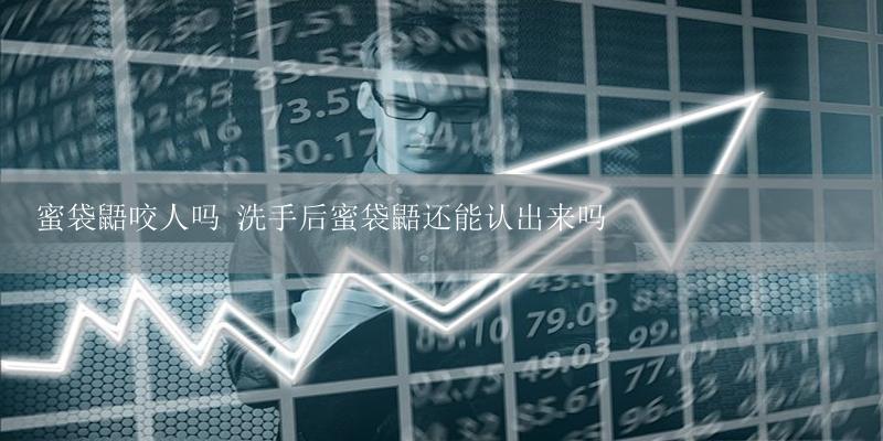 蜜袋鼯咬人吗 洗手后蜜袋鼯还能认出来吗-17攻略