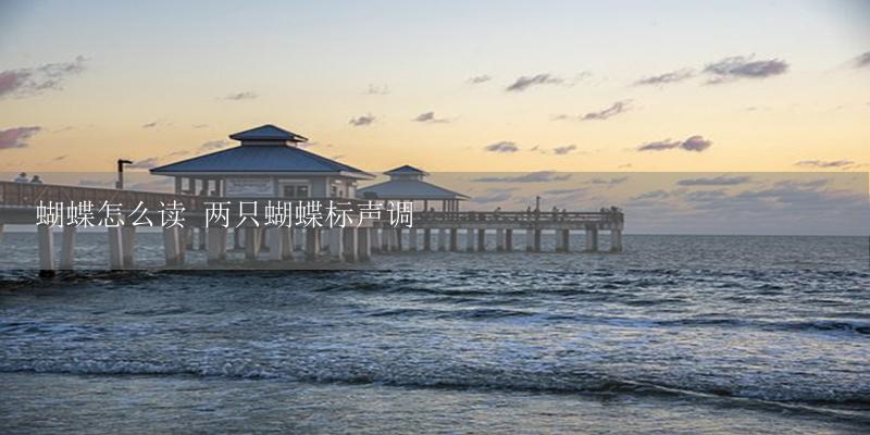 蝴蝶怎么读 两只蝴蝶标声调-17攻略