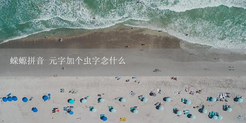 蝾螈拼音 元字加个虫字念什么-17攻略