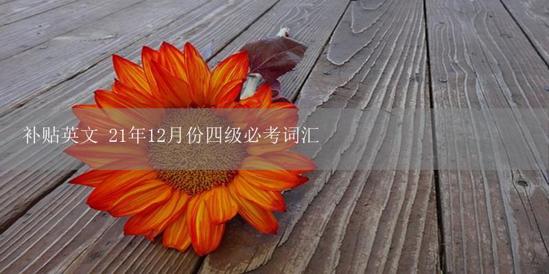 补贴英文 21年12月份四级必考词汇-17攻略