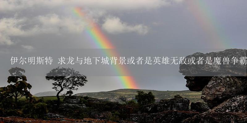 伊尔明斯特 求龙与地下城背景或者是英雄无敌或者是魔兽争霸的网游小说-17攻略