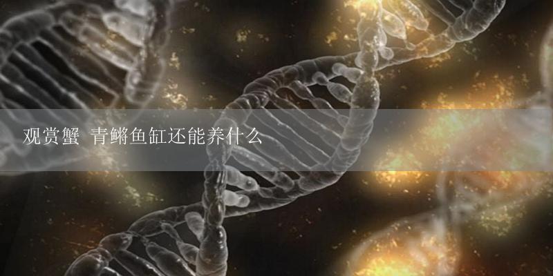 观赏蟹 青鳉鱼缸还能养什么-17攻略