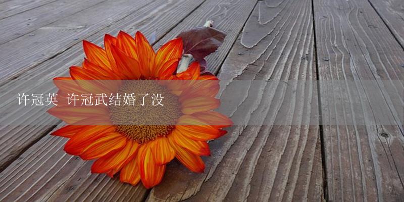 许冠英 许冠武结婚了没-17攻略