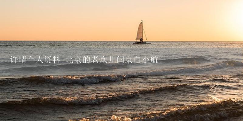 许晴个人资料 北京的老炮儿闫京白小航-17攻略