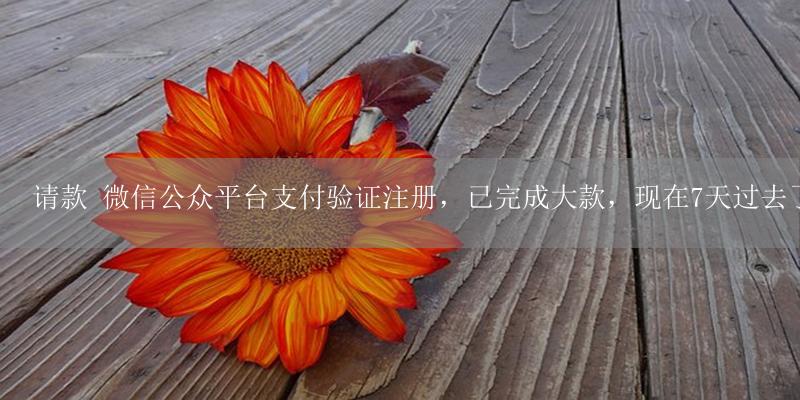 请款 微信公众平台支付验证注册,已完成大款,现在7天过去了,登录进去还是说需完成打款验证-17攻略