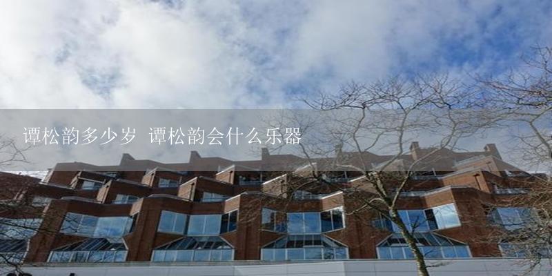谭松韵多少岁 谭松韵会什么乐器-17攻略