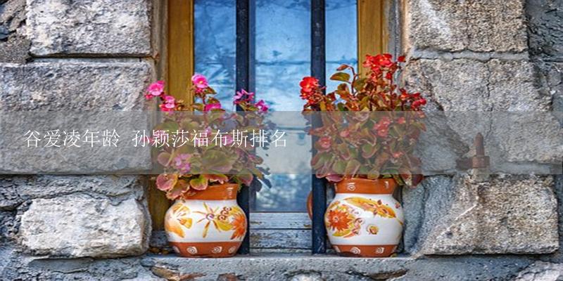 谷爱凌年龄 孙颖莎福布斯排名-17攻略