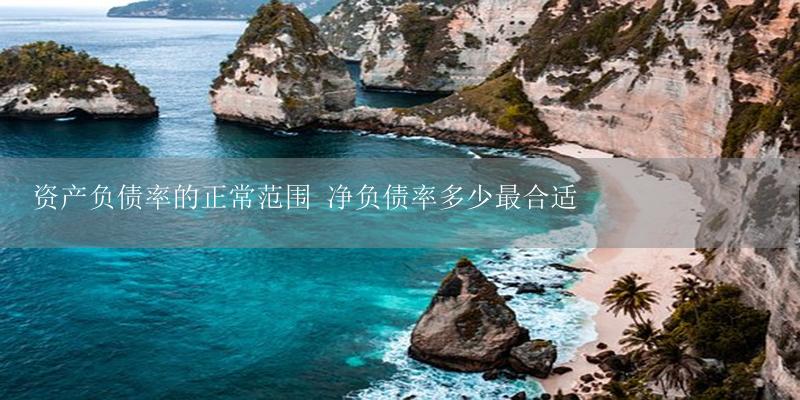 资产负债率的正常范围 净负债率多少最合适-17攻略