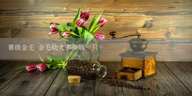 赛级金毛 金毛幼犬多少钱一只-17攻略