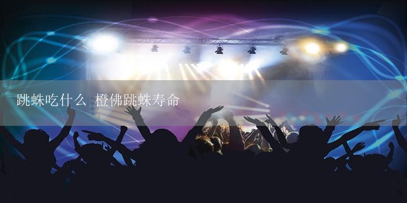 跳蛛吃什么 橙佛跳蛛寿命-17攻略